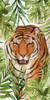 Big Cats 1 Poster Print - Kimberly Allen