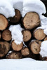 Snow Covered Logs Poster Print - Incado