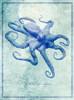 Octopus B Poster Print - ArtLab GI