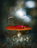 Mushroom Fantasy Poster Print - Grams Love