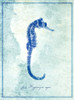 Seahorse B Poster Print - ArtLab GI