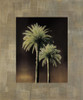 Palmas II Poster Print - Andrea Trivelli