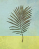 Palm Leaf Poster Print - Judi Bagnato