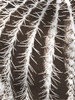Earthy Cactus Poster Print - Marcus Prime