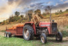 Pumpkin Harvest Poster Print - Lori Deiter