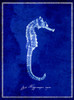 Seahorse Poster Print - ArtLab GI