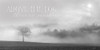 Above the Fog Poster Print - Lori Deiter