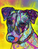 Jack Russell Poster Print - Russo Collection Dean