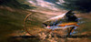 Nothing But Net - Brook Trout Poster Print - Bruce Langton