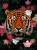 Peeking Floral Beast Poster Print - Marcus Prime