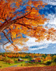 Sleepy Hollow Farm Vermont Autumn Poster Print - Lena Owens