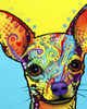 Chihuahua I Poster Print - Russo Collection Dean