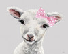 Baby Girl Sheep Poster Print - Lee Keller
