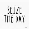 Seize the Day Poster Print - Dust Imperfect