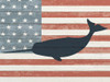 American Whale 2 Poster Print - Kimberly Allen