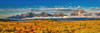 Grand Tetons Panorama Poster Print - Lena Owens