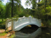 Moon Bridge Poster Print - GST