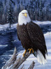 River Watch Poster Print - Jeff Tift