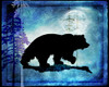 Midnight Bear Poster Print - LightBoxJournal