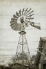 Windmill Waterpump on Shiplap Poster Print - GST
