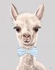 Baby Boy Alpaca Poster Print - Lee Keller