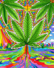 Pot Leaf 2 Poster Print - Howie Green