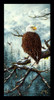 Eagle Rest Poster Print - Jeff Tift