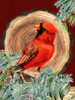 Cardinal Wood Round Poster Print - Kimberly Allen
