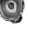 Grey Agate D Poster Print - Studio SEA