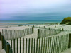 Beach Solitude Poster Print - GST