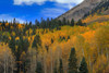 Autumn Dream Poster Print - Bill Sherrell