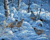 Winter Covey Poster Print - Jeff Tift