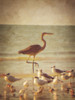 Great Heron Poster Print - GST
