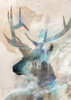 Season of Changes Poster Print - Ken Roko