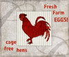 Decortive Pattern Farm Fresh Chicken Poster Print - LightBoxJournal