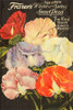 Winter and Spring Sweet Peas Poster Print - GST
