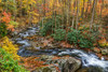 Tremont Stream Poster Print - Online Galloimages
