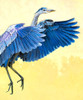 Great Blue Heron Poster Print - Max Hayslette