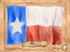 Texas-Solo with background Poster Print - Natalie Alexander