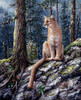 King Of The Forest Poster Print - Jeff Tift