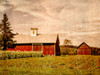 Red Barns of Glastonbury Poster Print - GST