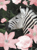 Floral Zebra Poster Print - Diane Stimson