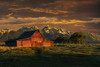 Moulton Barn Sunrise Poster Print - Online Galloimages