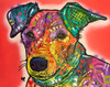 Charley Poster Print - Russo Collection Dean