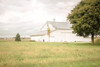 Barn in the Country I Poster Print - Donnie Quillen