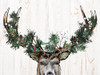 Christmas Deer Poster Print - Kimberly Allen