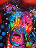 Young Bull 120610 Poster Print - Russo Collection Dean