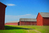 Windsor Tobacco Barns Poster Print - GST