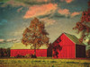 Golden Afternoon Poster Print - GST