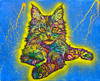 Maine Coon 2 Poster Print - Russo Collection Dean